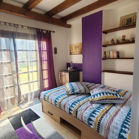 Maison Le Lezard Chez Amalia Et Fred Thonon-les-Bains Ngoại thất bức ảnh
