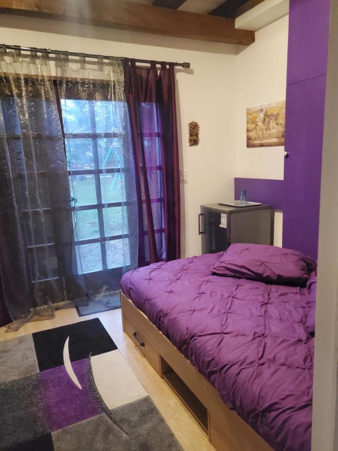 Maison Le Lezard Chez Amalia Et Fred Thonon-les-Bains Ngoại thất bức ảnh