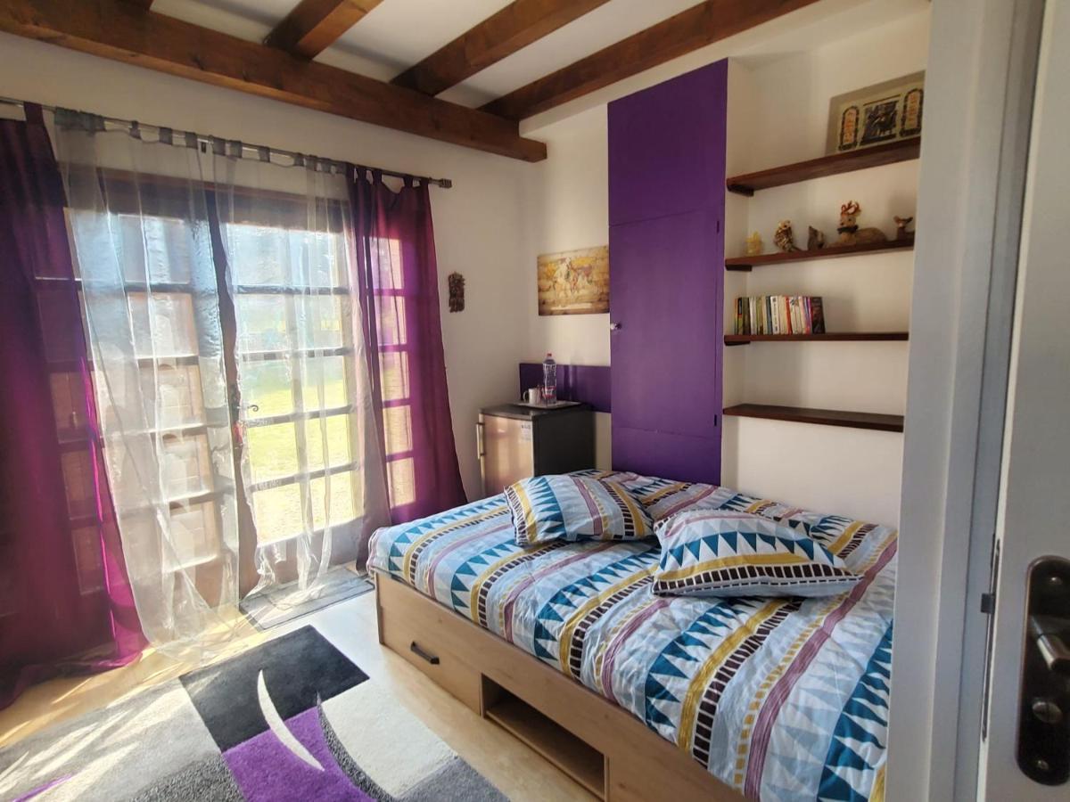 Maison Le Lezard Chez Amalia Et Fred Thonon-les-Bains Ngoại thất bức ảnh